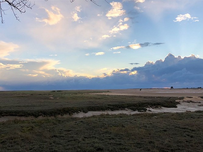 regneville-sur-mer-camping-du-hable-5