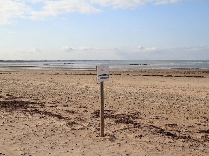 saint-germain-sur-ay-plage-de-la-pointe-du-banc