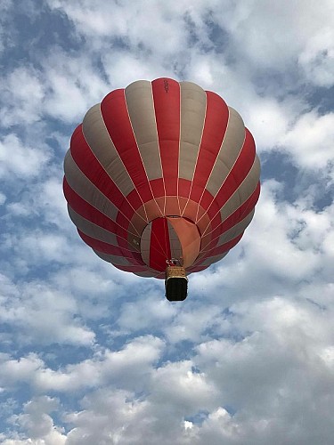 285722643_529859122278393_8863796458379451783_n