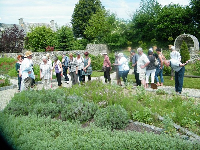 musee-tancrede-hauteville-la-guichard (2)