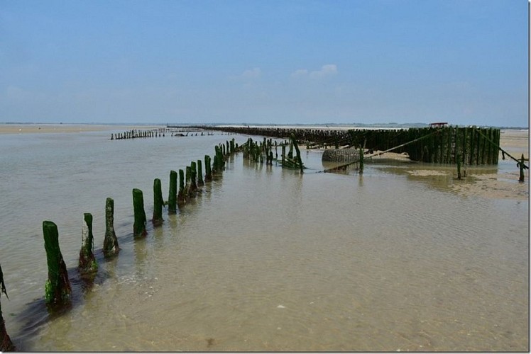 pecherie-maillard-hauteville-5