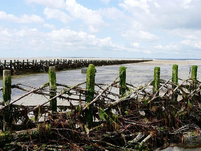 pecherie-la-maillard-hauteville-2©OT Montmartin