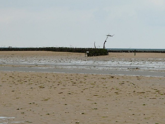 pecherie-maillard-hauteville-3