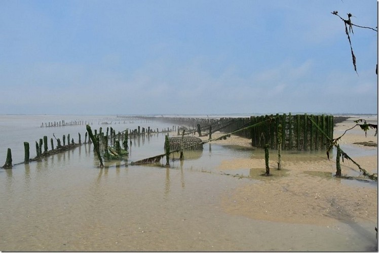 pecherie-maillard-hauteville-4