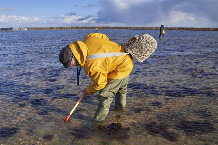 Agon-Coutainville_APP2R_estran2©Yann Renouf