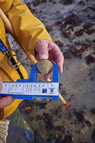 Agon-Coutainville_APP2R_estran5©Yann Renouf