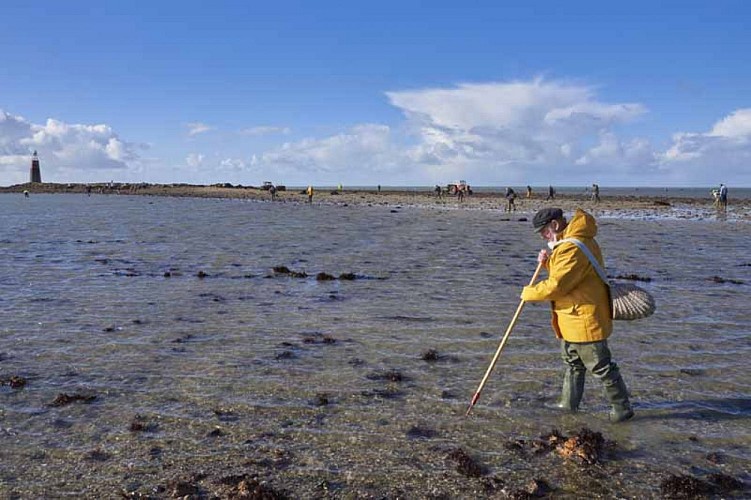 Agon-Coutainville_APP2R_estran1©Yann Renouf