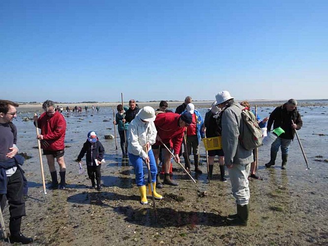 Agon-Coutainville_APP2R_formation_praire_OT_20150420 (4)©Laure Messner