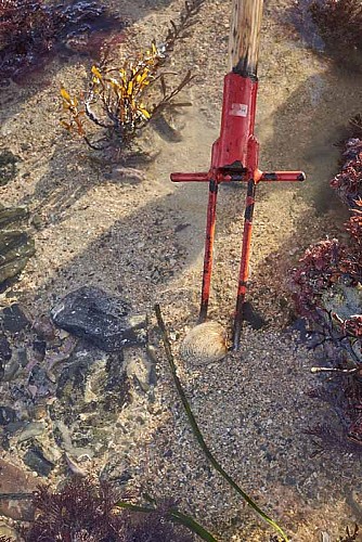 Agon-Coutainville_APP2R_estran6©Yann Renouf