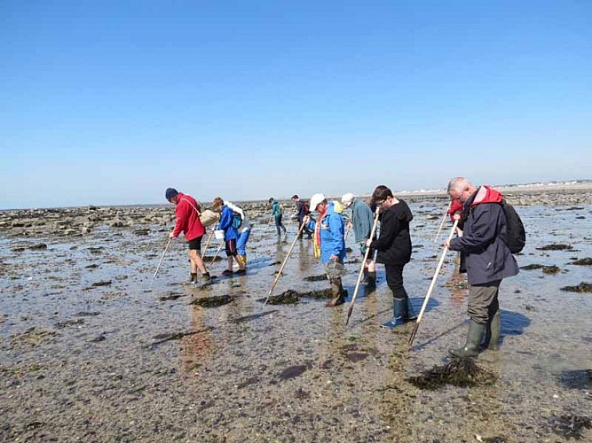 Agon-Coutainville_APP2R_formation_praire_OT_20150420 (6)©Laure Messner