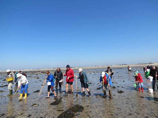 Agon-Coutainville_APP2R_formation_praire_OT_20150420 (5)©Laure Messner