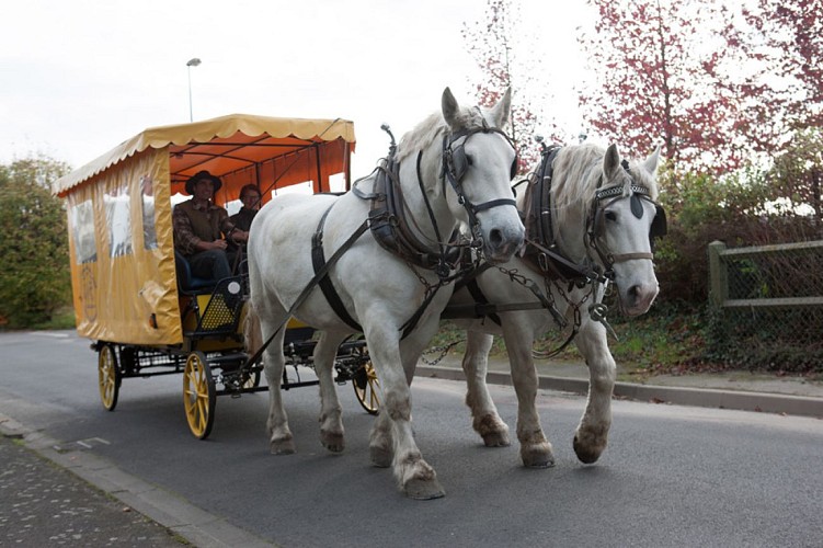 Ferme de la Saâne 2017 - OT TC - G. Targat (48)