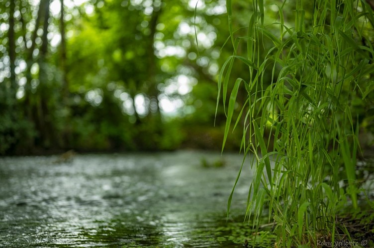 ecrin-andelle-sejour-ressourcement_accompagnement-6