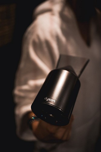 Hôtel Lilybloom - Dyson 