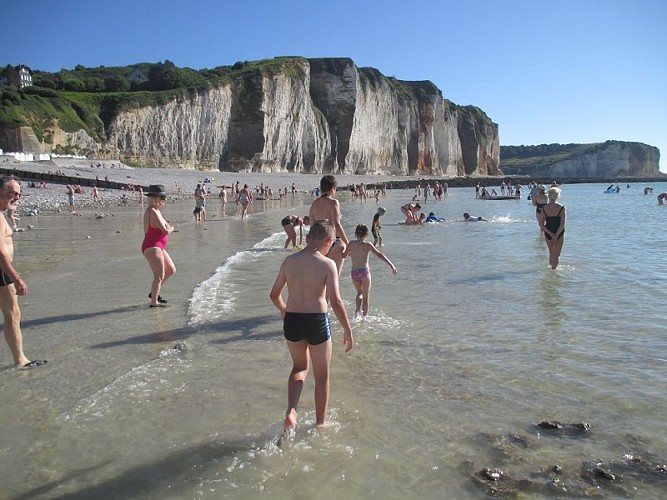 LOI_plage-petites-dalles©jourdain-2016