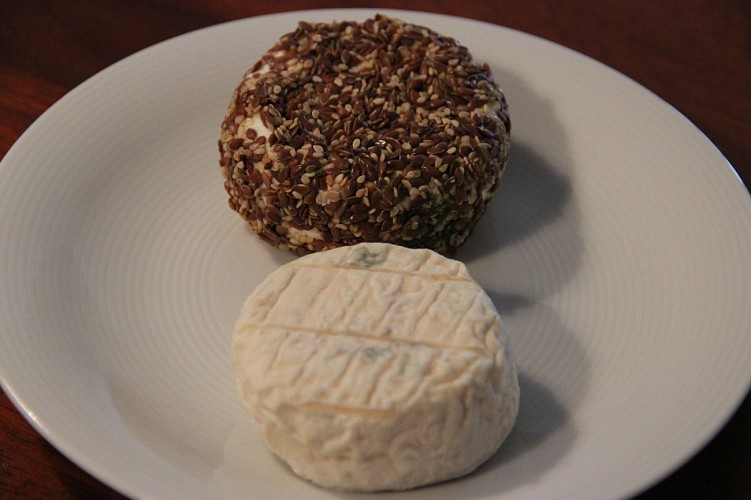 Chevrerie ; Bliquetuit ; ©Tourisme Caux Seine ; (107)