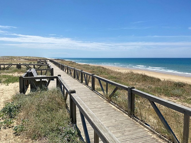 1-CLNT - LIT ET MIXE - Plage du Cap de l'Homy (22)TS