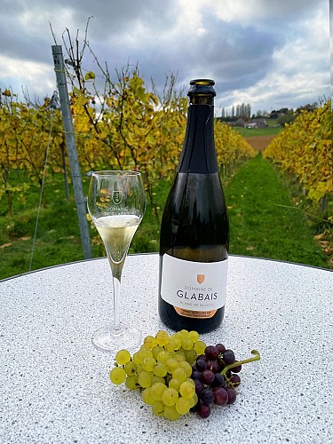 250454905_4616177568438583_4685907336143018189_n