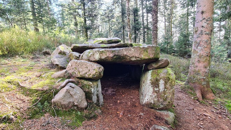Dolmen de Purifaing