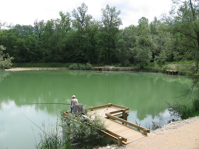 Le lac du Sauget