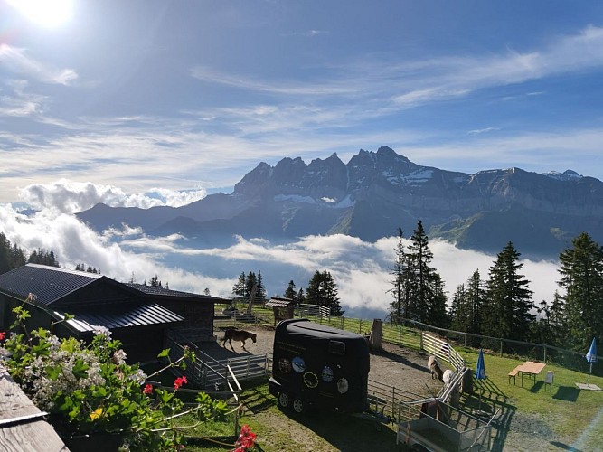 Hôtel Restaurant Le Relais Panoramique