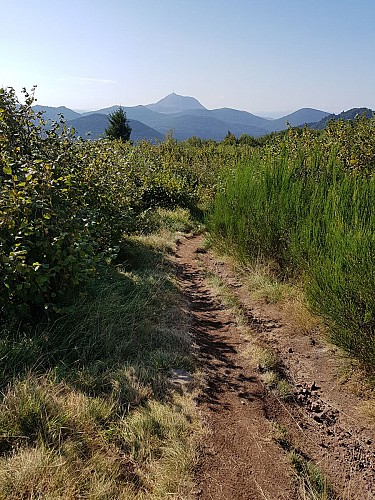 Puy de La Coquille
