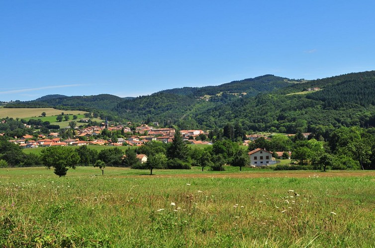 GR® de Pays : Tour de la Reine Margot - Boucle du Val d’Allier n°2