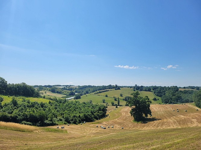 Vallée des Cabarieux