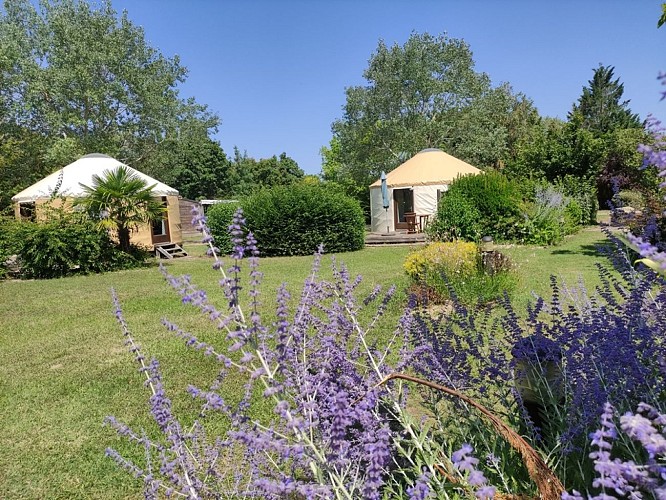 Yourtes Camping de Saint-Cyr