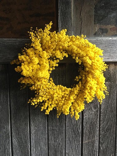 Couronne Mimosa Esse