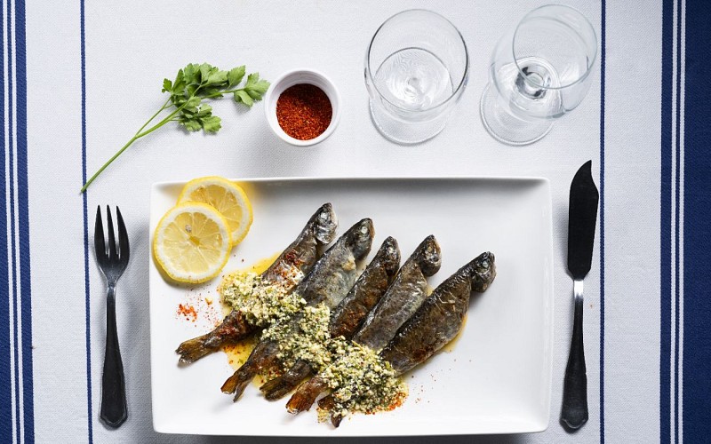 Ferme Auberge Menta - Truitelles - Aldudes