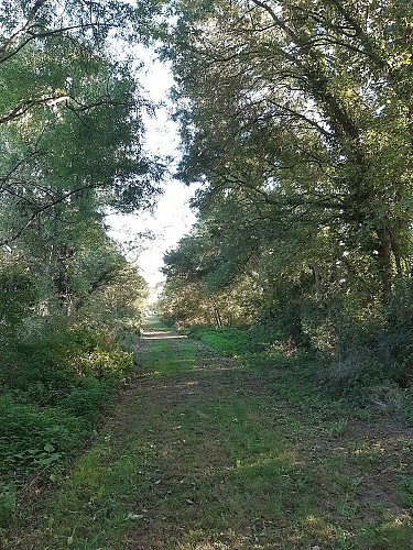 nueil-les-aubiers-gite-du-petit-chatelier-rando