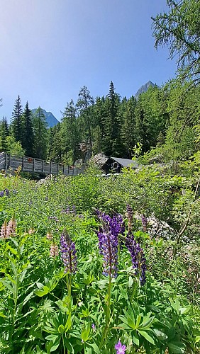 Buvette Cascade de Bérard