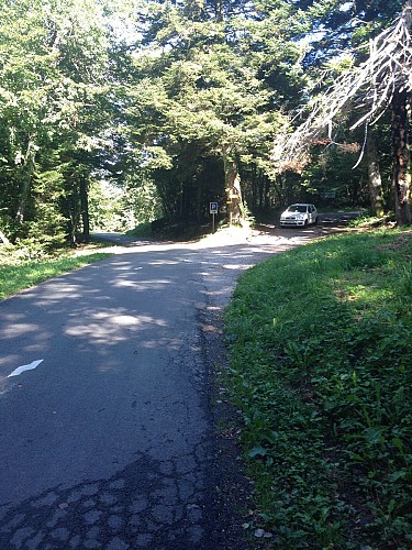 Col du Sapenay