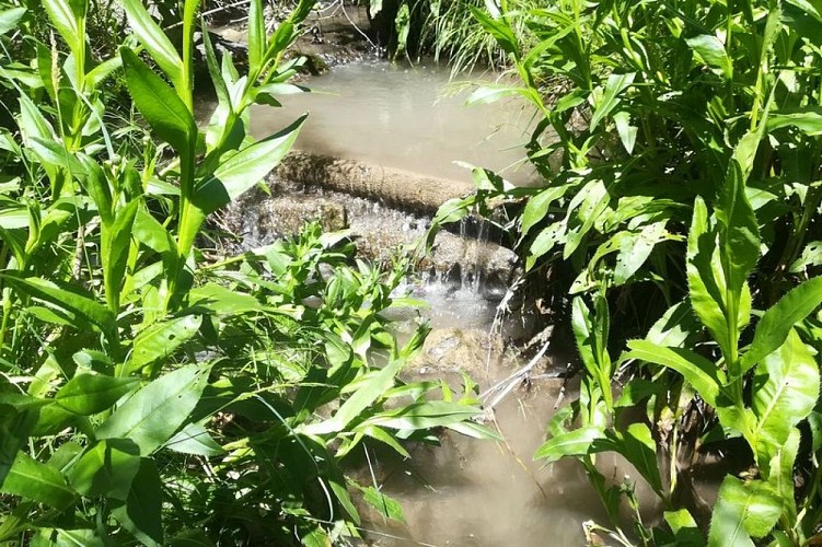 Zone du corridor écologique