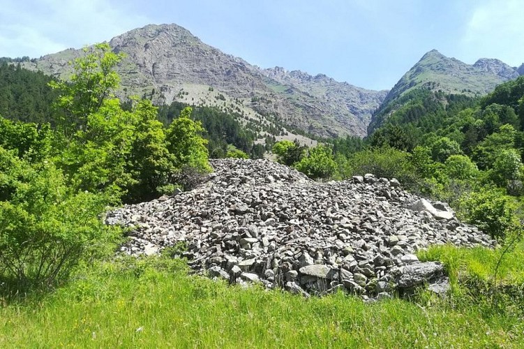 Clapier dans les champs de Réallon