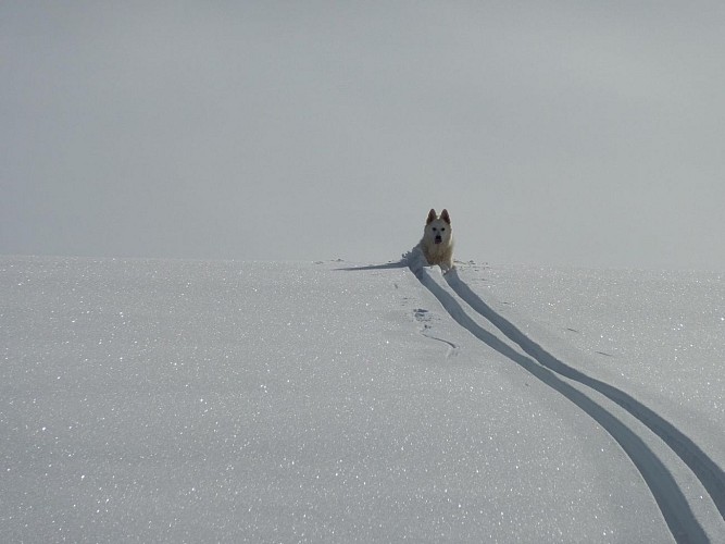 Refuge-auberge du Col de l'Arpettaz