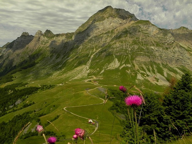 Refuge-auberge du Col de l'Arpettaz