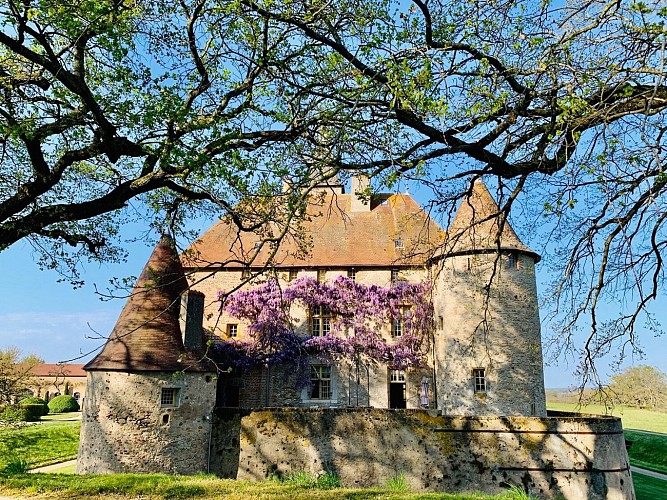 Jardins et Château de Beauvoir