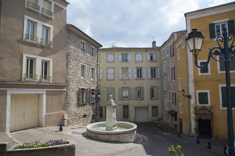 Grenette square, its fountain and grain market