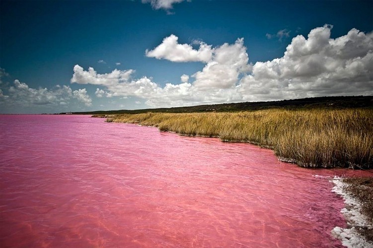 Lac Retba ( Lac Rose )