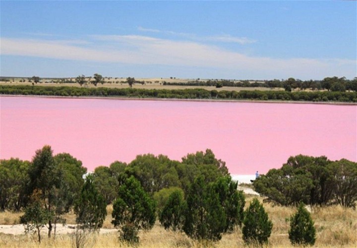Lac Retba ( Lac Rose )