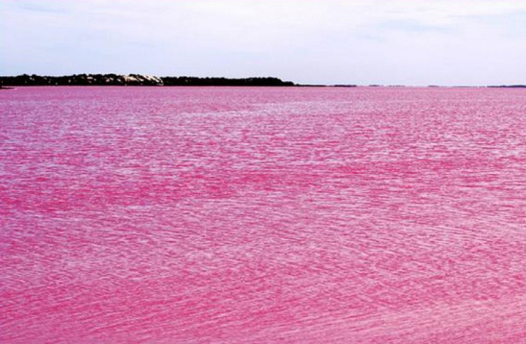 sénégal lac rose de retba