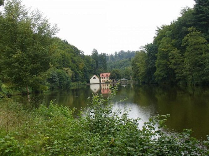 Point d'intérêt naturel Etang du Donnenbach Frohmuhl