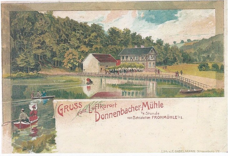 Point d'intérêt naturel Etang du Donnenbach Frohmuhl