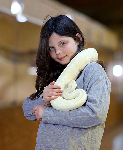 La ferme des reptiles