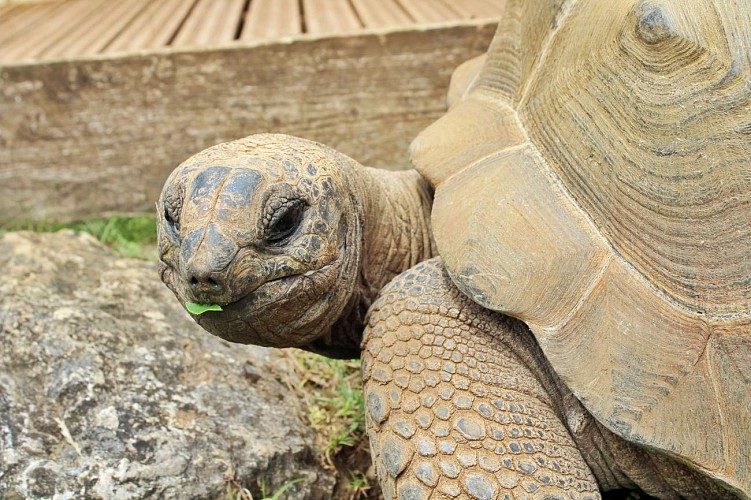 La ferme des reptiles