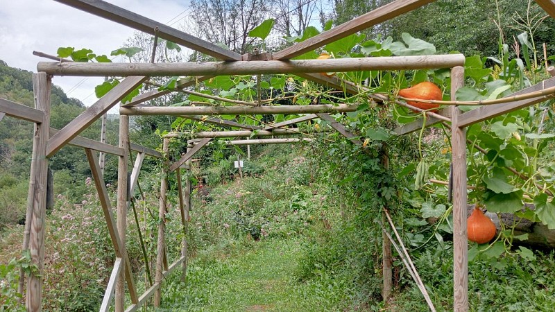 Jardin "Le Clos des Arômes"