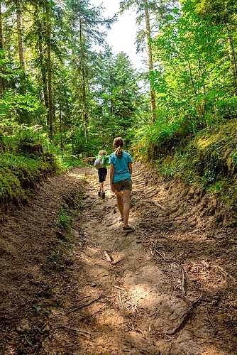 La Forêt Royale