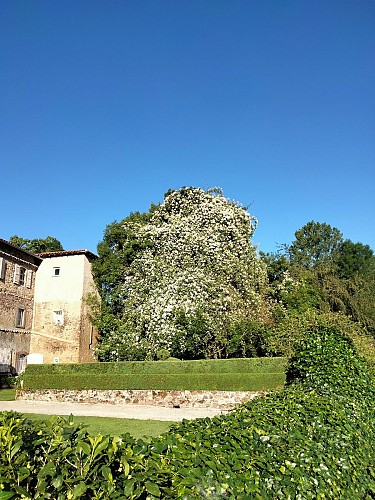 Abbaye de Combelongue